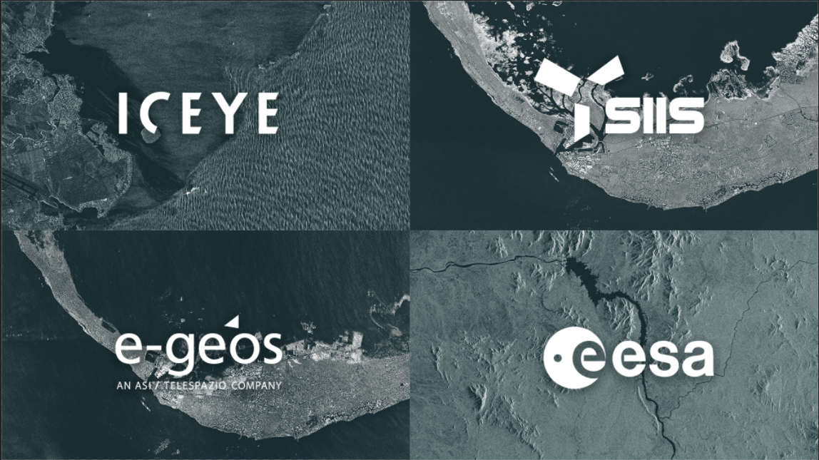 Ursa Space SAR Providers
